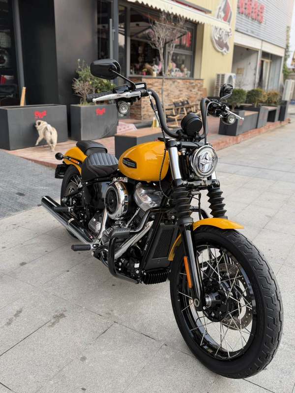 二手哈雷戴维森街霸 Street Bob