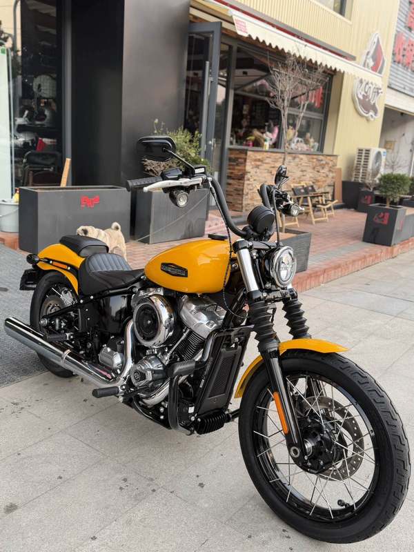 二手哈雷戴维森街霸 Street Bob