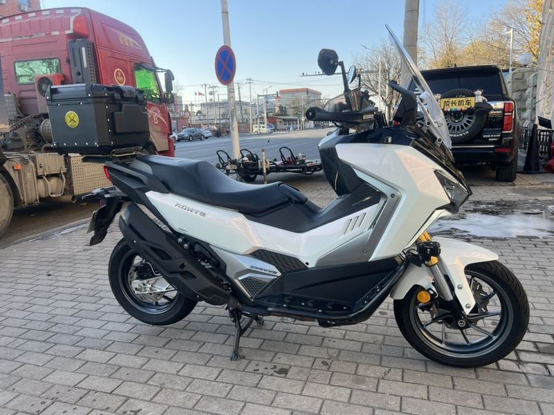 二手三阳剑齿虎 ADXTG