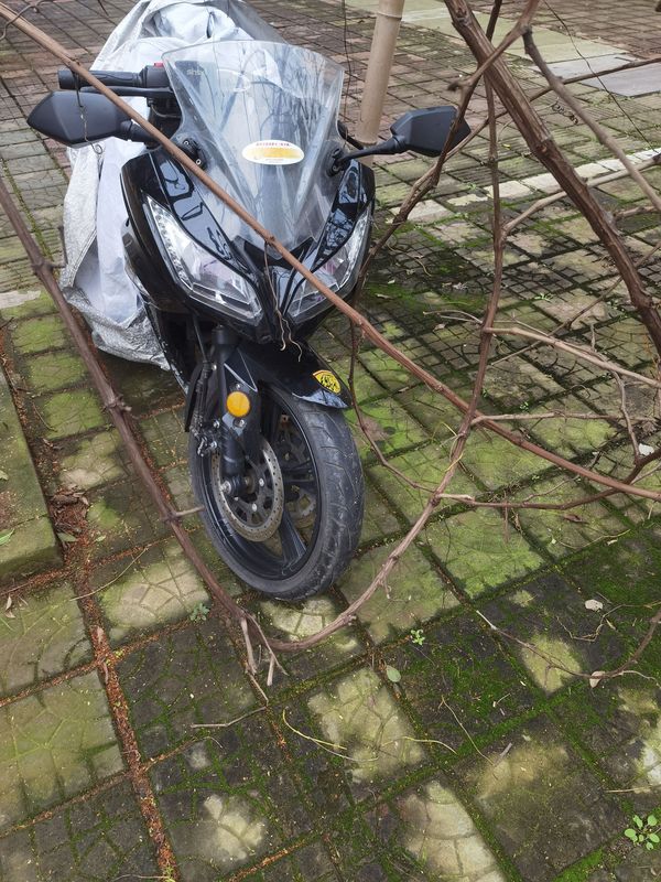 二手新世纪战隼1代