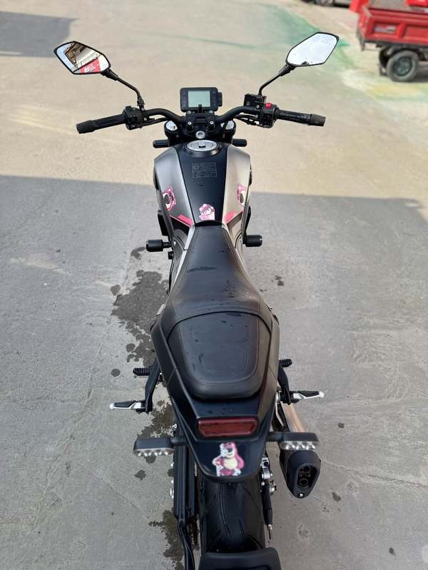 二手贝纳利幼狮 Leoncino 250