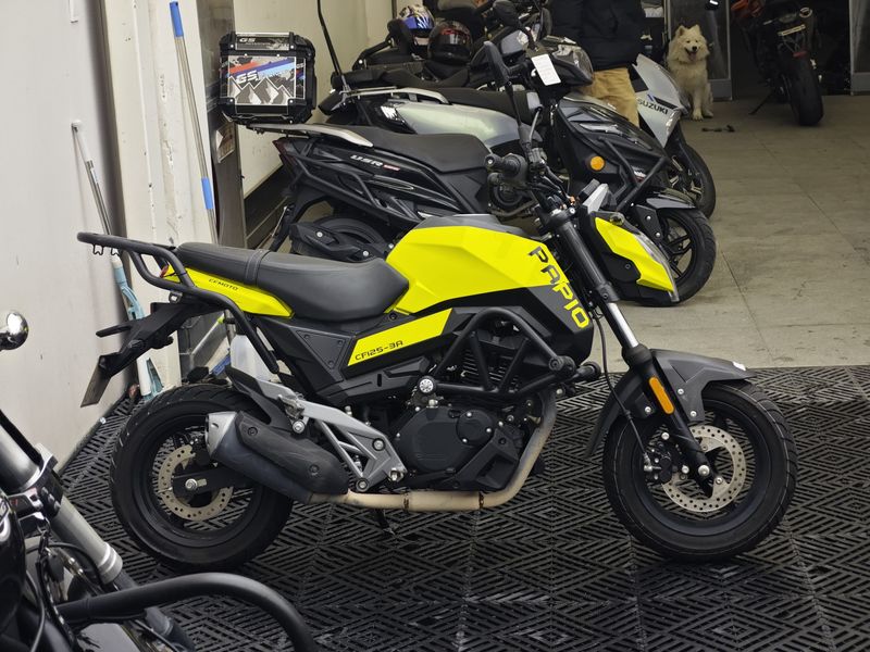 二手春风ST狒狒