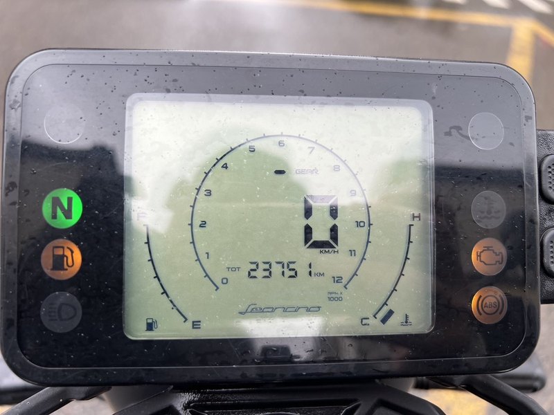 二手贝纳利幼狮 Leoncino 250