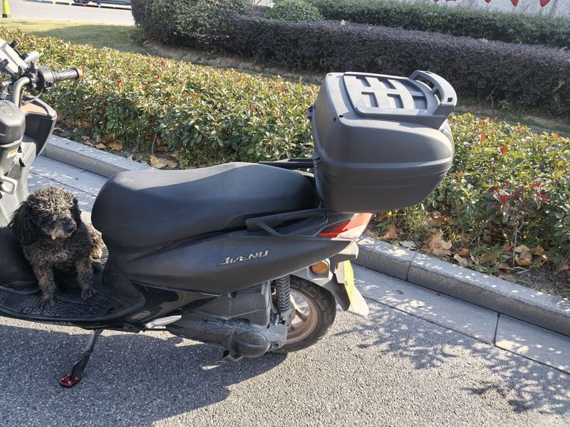 二手建设雅马哈巡鹰125