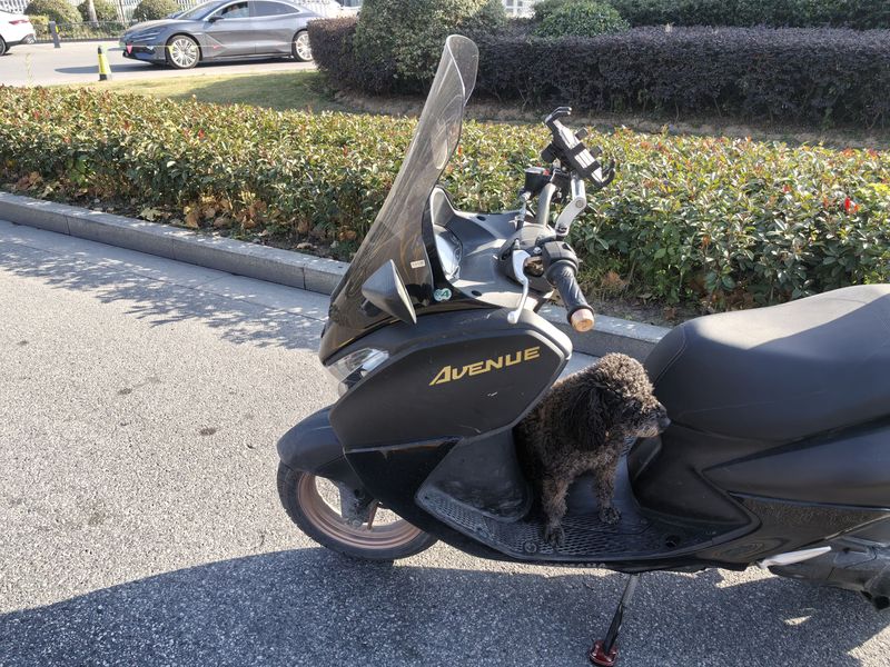 二手建设雅马哈巡鹰125