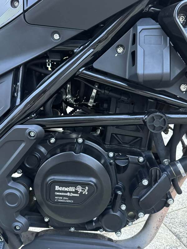 二手贝纳利幼狮 Leoncino 250