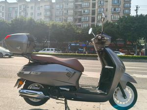 二手飞鹰飞雅鹰戈