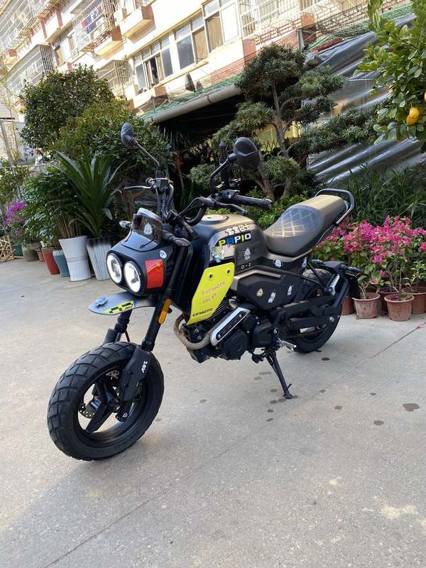 二手春风XO狒狒