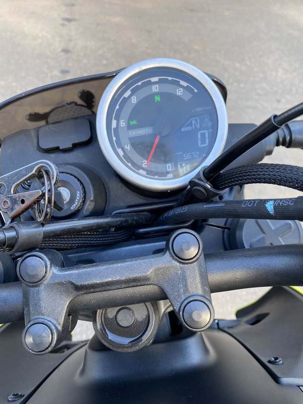 二手春风XO狒狒