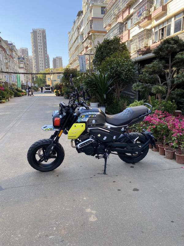 二手春风XO狒狒