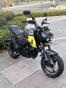 二手春风XO狒狒