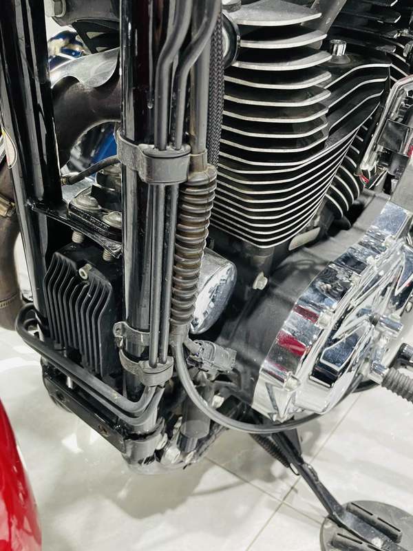 二手哈雷戴维森1200 Custom