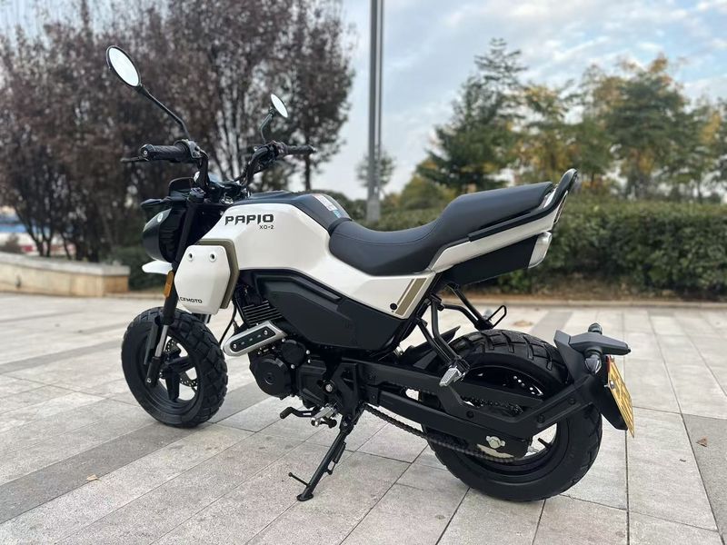 二手春风XO狒狒