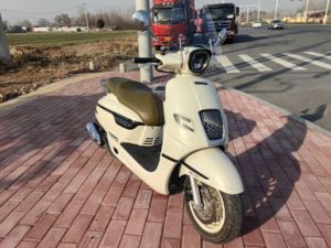 二手南方梦拉丽莎 飞戈