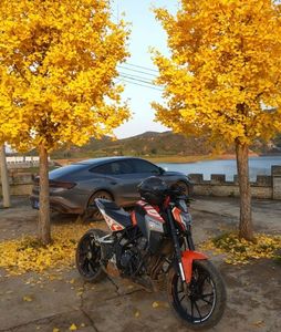 二手凯越Cobra 321R