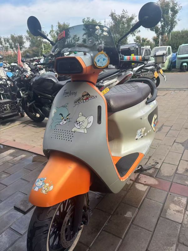 二手阿雷纳鸭嘴兽 Platypus