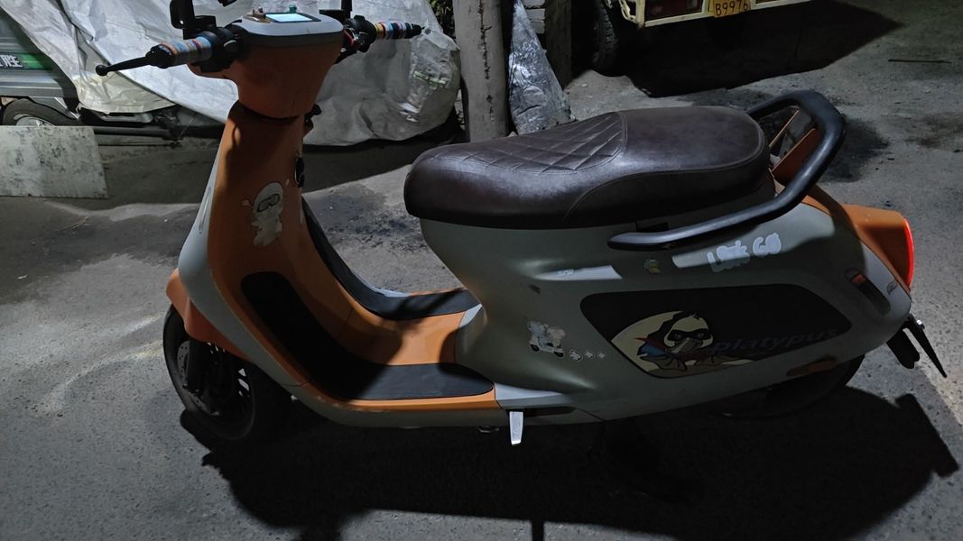 二手阿雷纳鸭嘴兽 Platypus