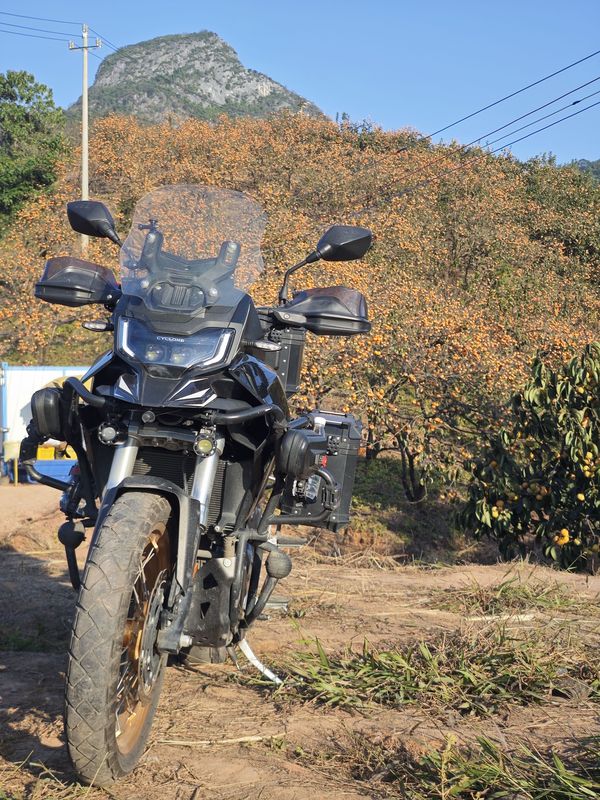 二手赛科龙RX600