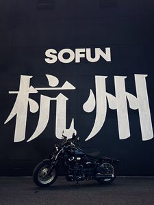 二手赛科龙RA600