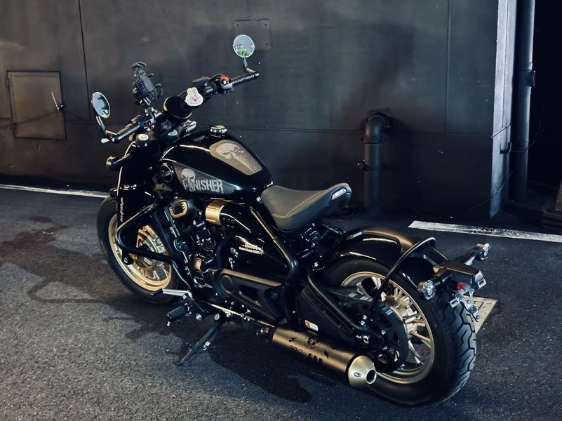 二手赛科龙RA600