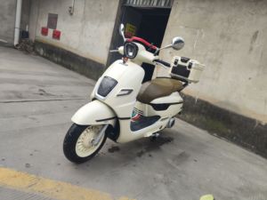 二手南方梦拉丽莎 飞戈