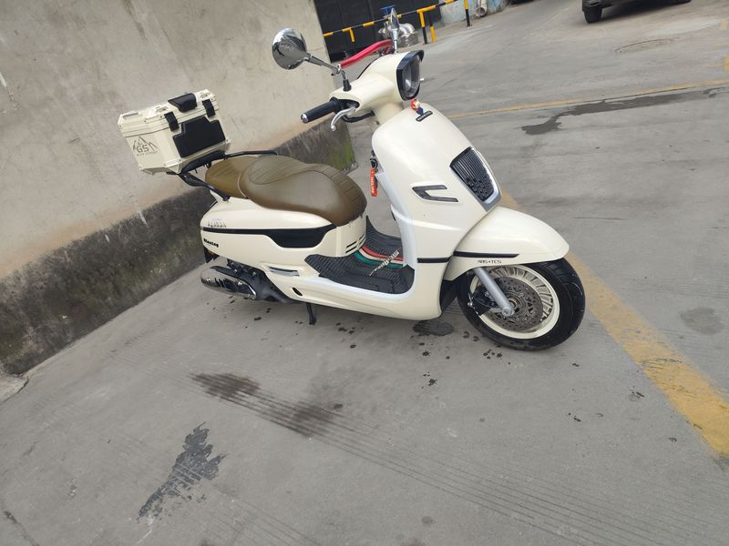 二手南方梦拉丽莎 飞戈