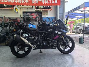 二手宝马G 310 RR