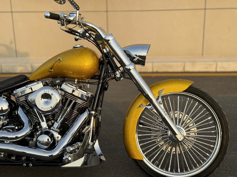 二手松散American FatTire