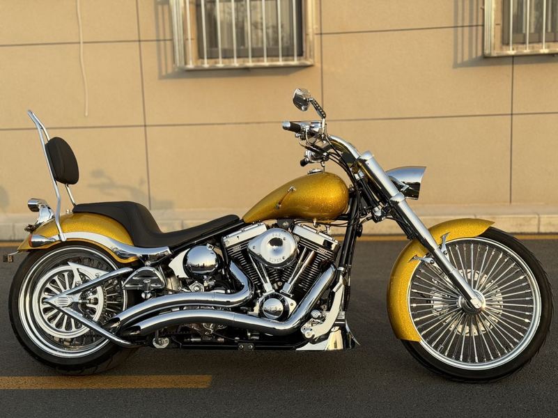 二手松散American FatTire