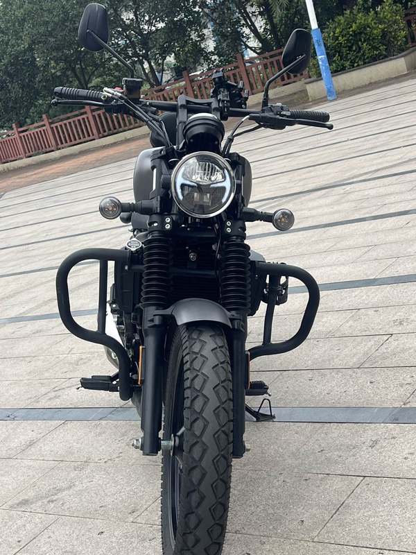 二手赛科龙RA250