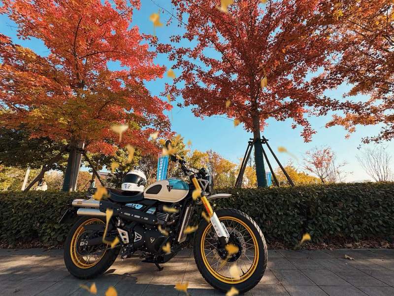 二手凯旋Scrambler 400 X