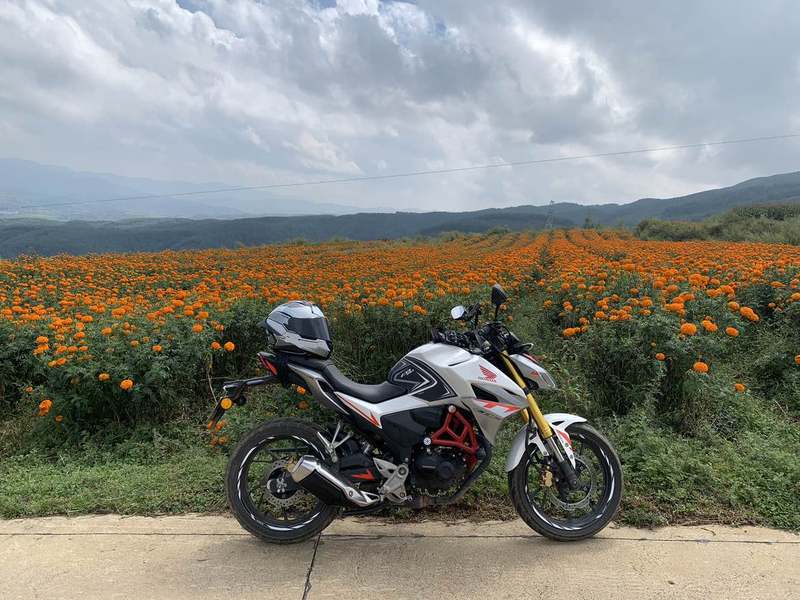 二手新大洲本田CBF190R