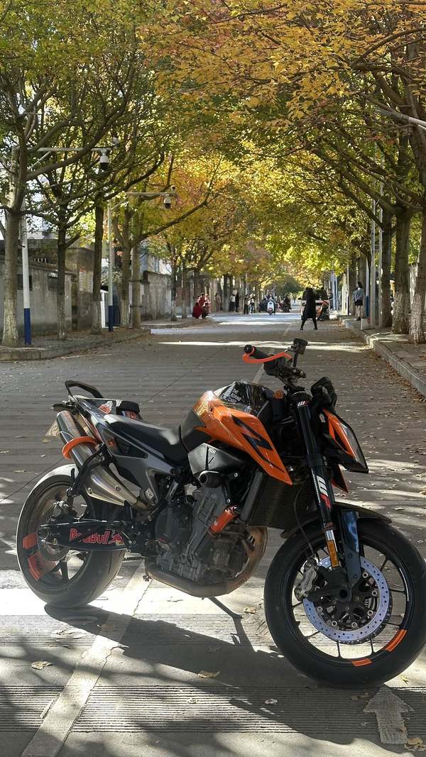 二手KTMR2R790 Duke