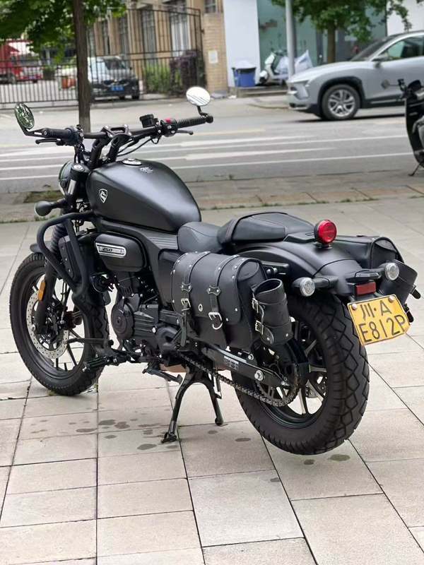 二手赛科龙RA250