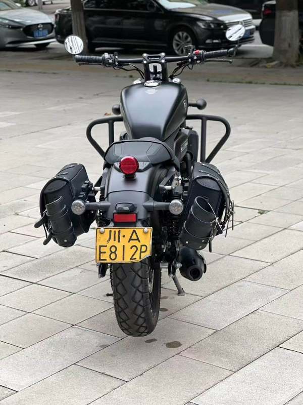 二手赛科龙RA250