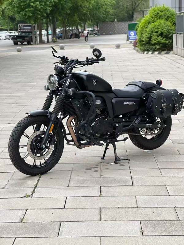 二手赛科龙RA250