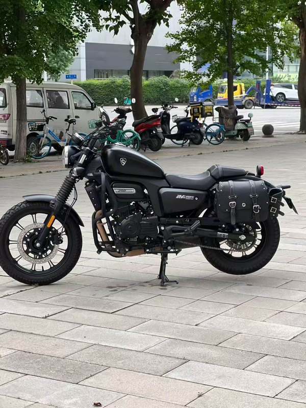 二手赛科龙RA250