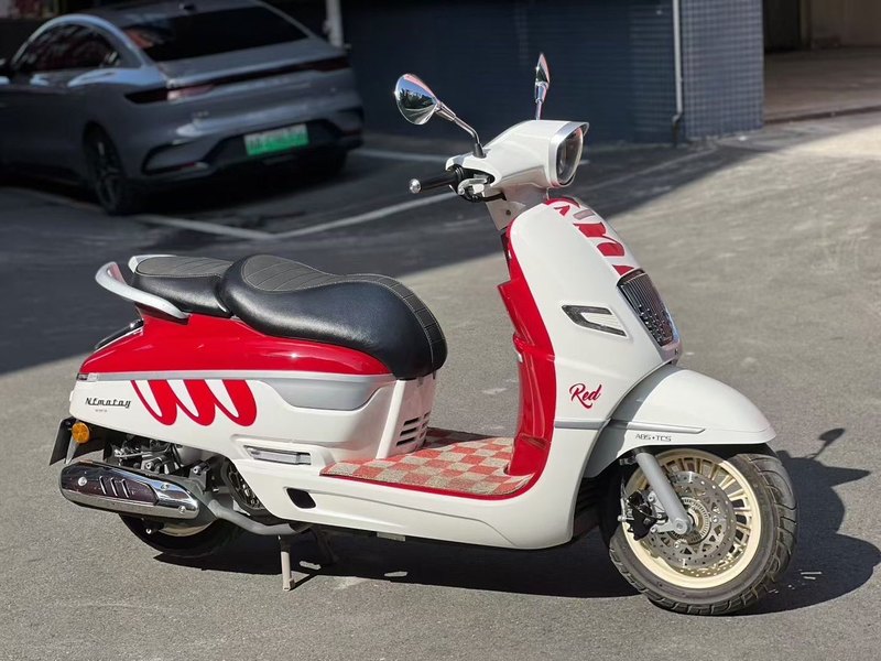 二手南方梦拉丽莎 飞戈