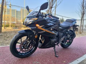 二手豪爵铃木GSX250R