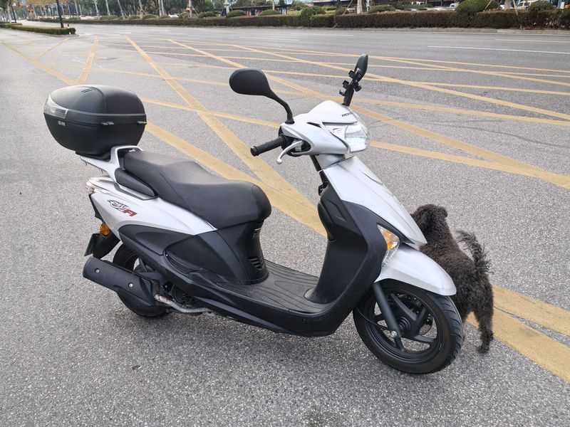 二手新大洲本田E影110 FI