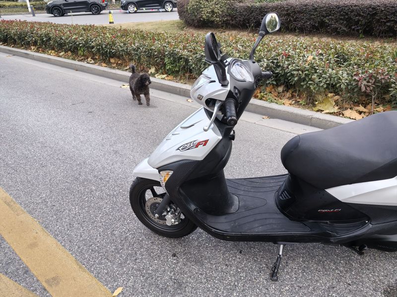 二手新大洲本田E影110 FI