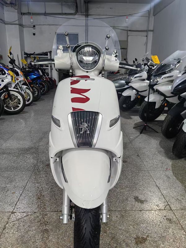 二手标致DJANGO EVO