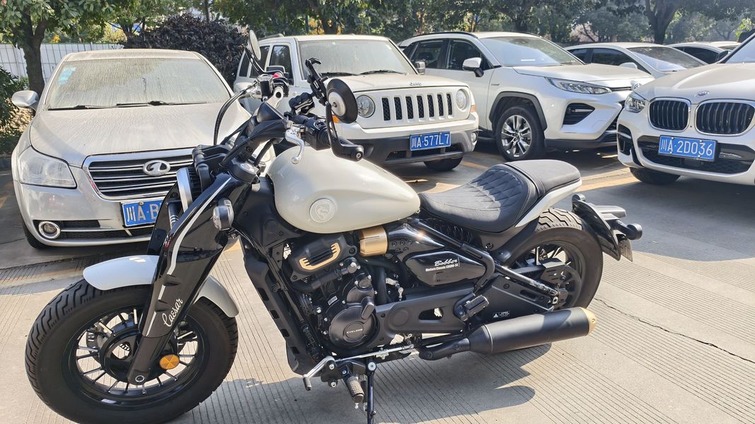 二手赛科龙RA600