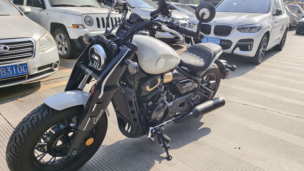 二手赛科龙RA600