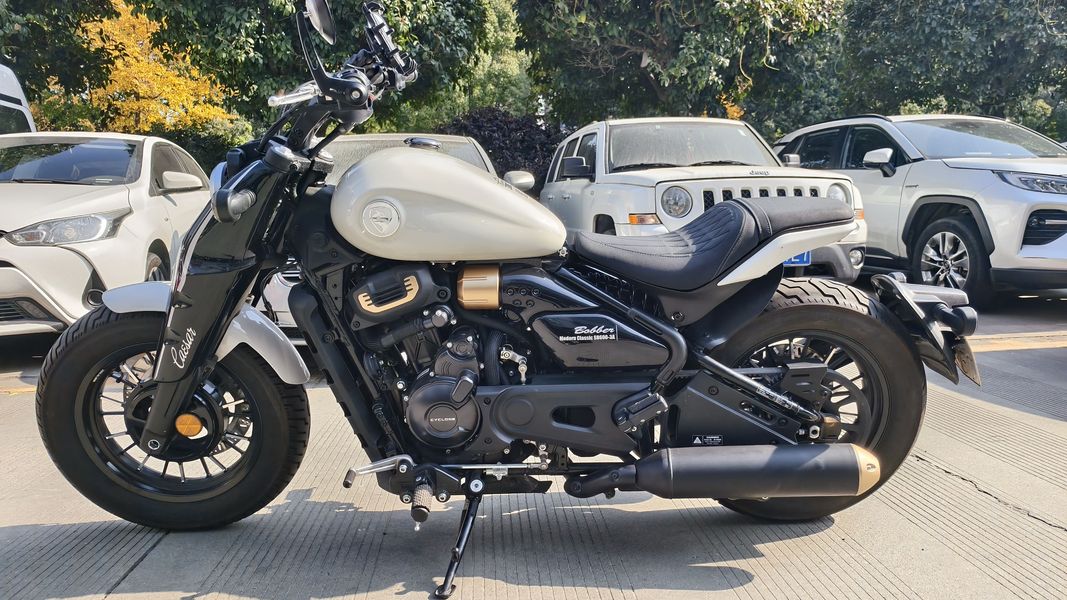 二手赛科龙RA600