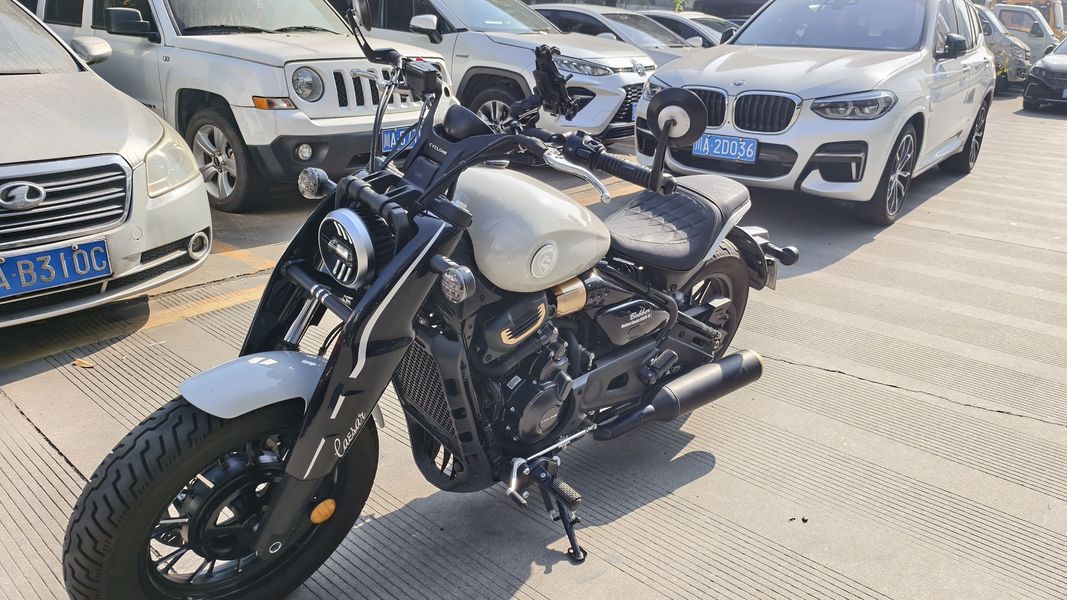 二手赛科龙RA600