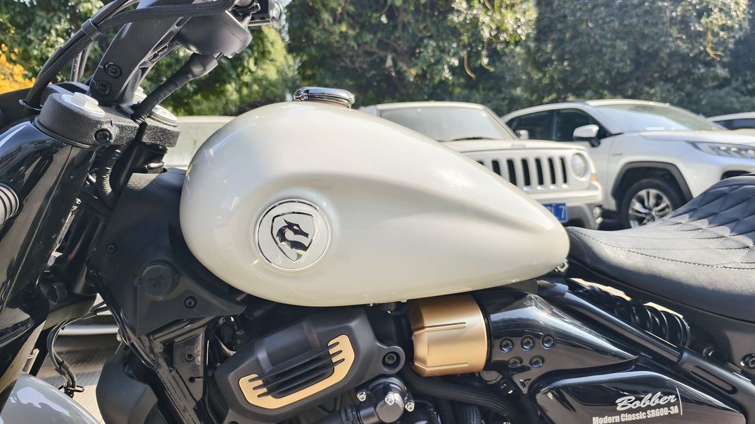 二手赛科龙RA600