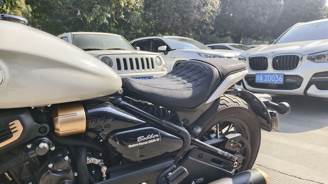 二手赛科龙RA600