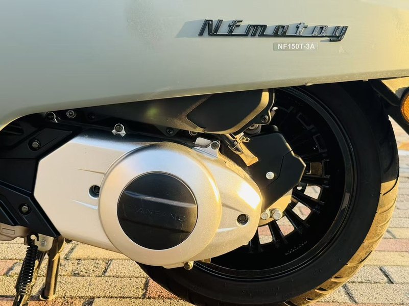 二手南方梦拉丽莎 飞戈