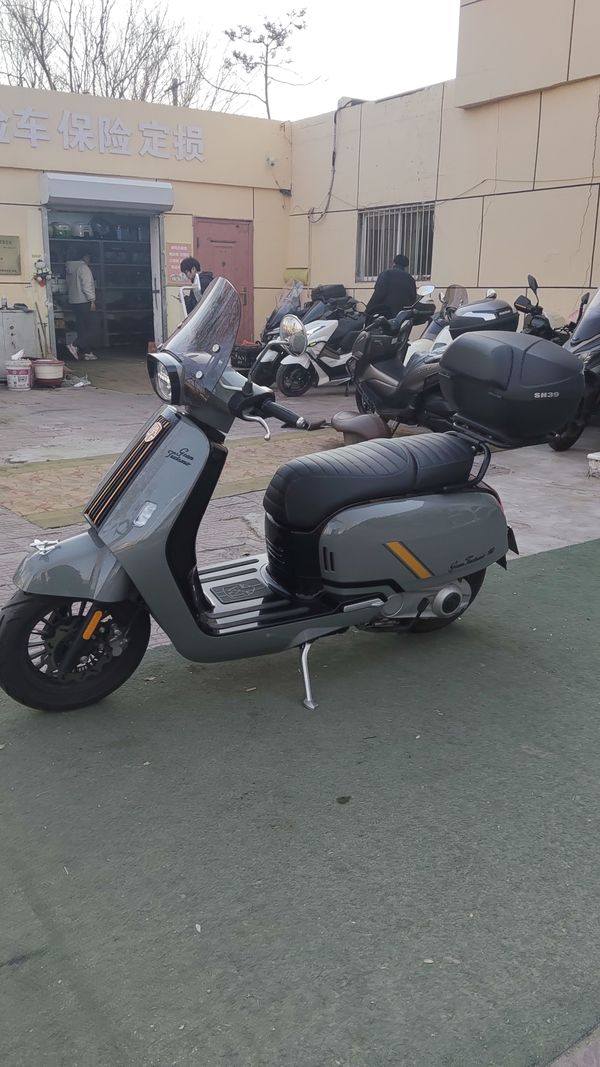 二手ROYAL ALLOYGT150